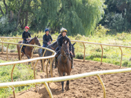 EL120925-42 - Emma Lavelle Stable Visit